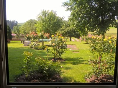 Blick aus der Wohnung auf unseren "Rosenpark"