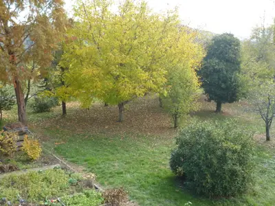 Ferienwohnung für 2 Personen (35 m²) in Weilheim (Baden-Württemberg) 10/10