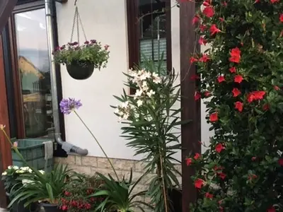 Ferienwohnung für 2 Personen (42 m²) in Weimar 5/10