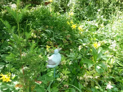 Garten