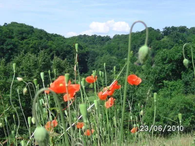 Lahnhöhe Wanderweg