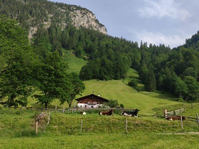 Ausblick zum alten Bauernhaus