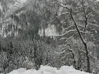 Hochkranz Winter
