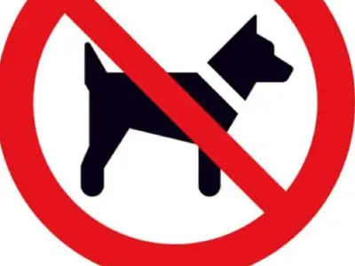 Ferienwohnung für 4 Personen (60 m²) in Weissbriach 6/10