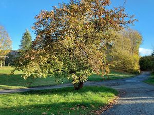 23283151-Ferienwohnung-4-Weißdorf-300x225-3