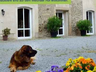Ferienwohnung für 4 Personen (48 m²) in Weißenberg 2/10