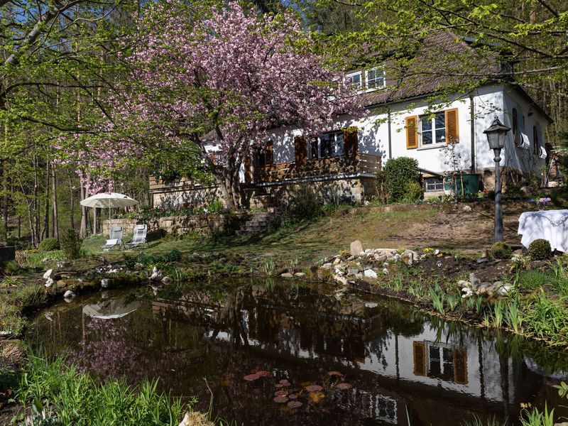 22335239-Ferienwohnung-2-Weißenbrunn-800x600-0