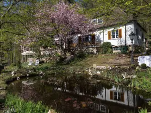 Ferienwohnung für 3 Personen (38 m²) in Weißenbrunn