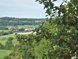 22658601-Ferienwohnung-2-Weißenburg in Bayern-300x225-4