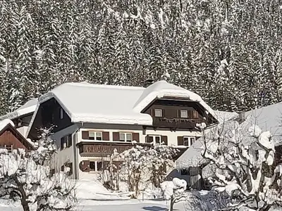 Ferienwohnung für 4 Personen (41 m²) in Weißensee 3/10