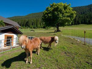 22399017-Ferienwohnung-3-Weißensee-300x225-2