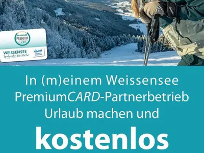 Ferienwohnung für 4 Personen (50 m²) in Weißensee 6/10