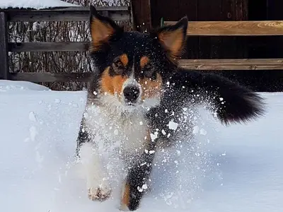 Ferienwohnung für 2 Personen (32 m²) in Weißensee 4/10