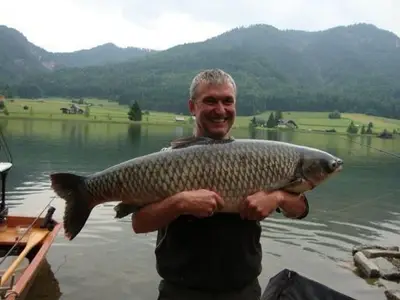Ferienwohnung für 2 Personen (32 m²) in Weißensee 9/10