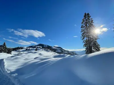 Ferienwohnung für 4 Personen (50 m²) in Weißensee 7/10