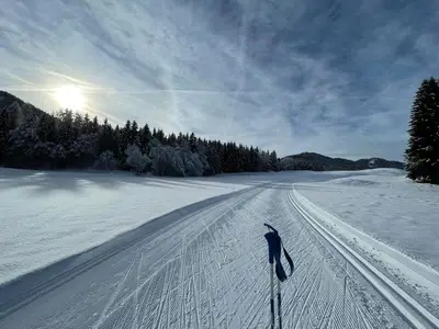 Ferienwohnung für 4 Personen (50 m²) in Weißensee 10/10