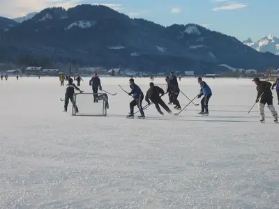Ferienwohnung für 4 Personen (43 m²) in Weißensee 8/10