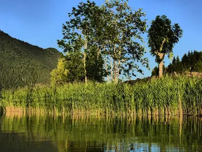 Ferienwohnung für 4 Personen (43 m²) in Weißensee 9/10