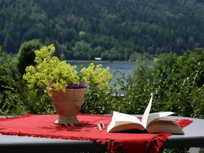 Ferienwohnung für 3 Personen (55 m²) in Weißensee 9/10