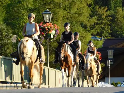Ferienwohnung für 4 Personen (32 m²) in Weißensee 9/10