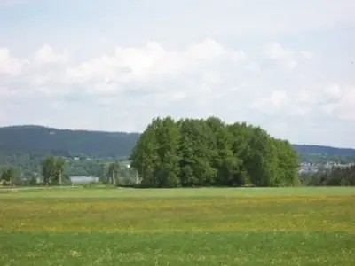 Ferienwohnung für 4 Personen (55 m²) in Weißenstadt 3/10