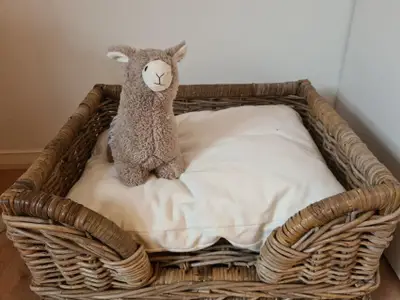 Ferienwohnung für 4 Personen (65 m²) in Weißenstadt 7/10