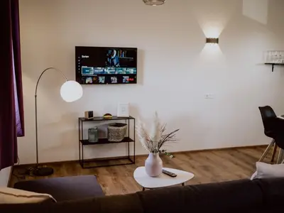 Ferienwohnung für 4 Personen (40 m²) in Weisweil 3/10