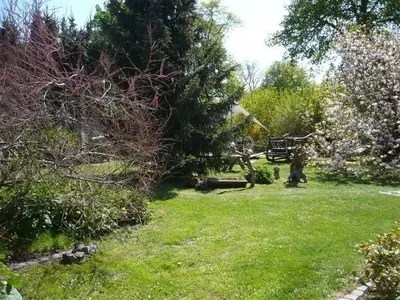 Ferienwohnung für 2 Personen (20 m²) in Grubenhagen 10/10