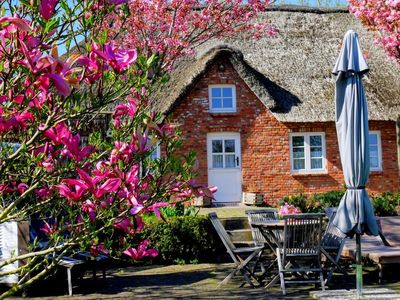 Ferienwohnung bei Kirsch- und Magnolienblüte