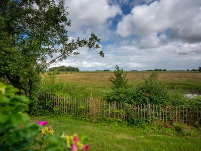 Blick ins Grüne