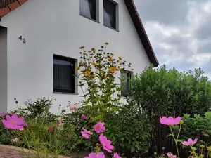 Ferienwohnung für 4 Personen (61 m²) in Wendorf