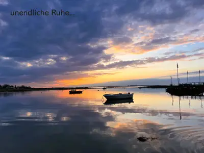 Ferienwohnung für 4 Personen (53 m²) in Marina Wendtorf 10/10