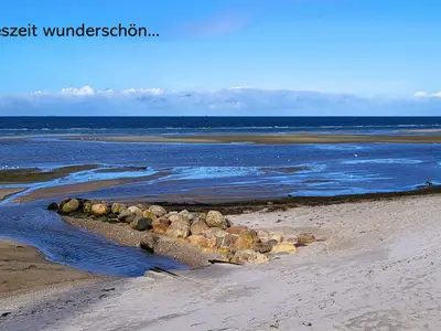 Ferienwohnung für 2 Personen (59 m²) in Marina Wendtorf 10/10