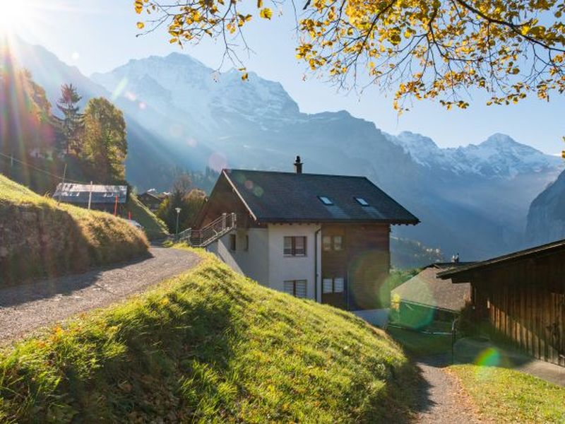 23309182-Ferienwohnung-4-Wengen-800x600-2