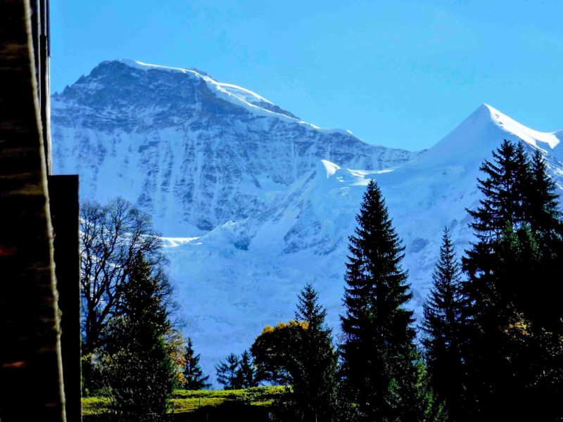 23839175-Ferienwohnung-2-Wengen-800x600-1