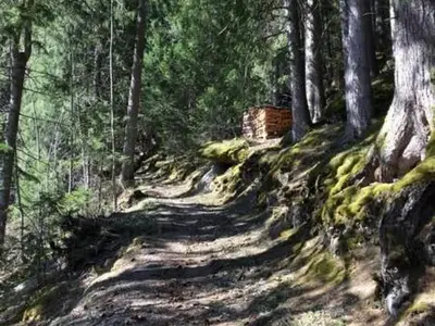 Bild 10