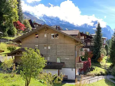 Bild 12