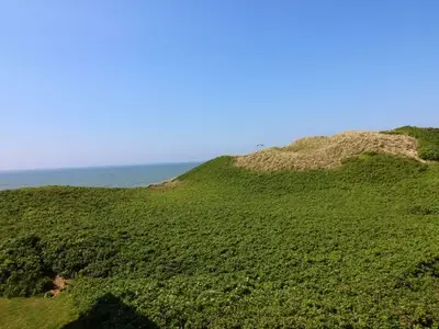 Ferienwohnung für 2 Personen (30 m²) in Wenningstedt 10/10
