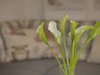 Ferienwohnung für 4 Personen (80 m²) in Wenningstedt 8/10