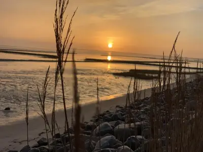 Ferienwohnung für 2 Personen (33 m²) in Wenningstedt 8/10