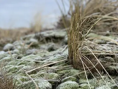 Ferienwohnung für 2 Personen (33 m²) in Wenningstedt 9/10
