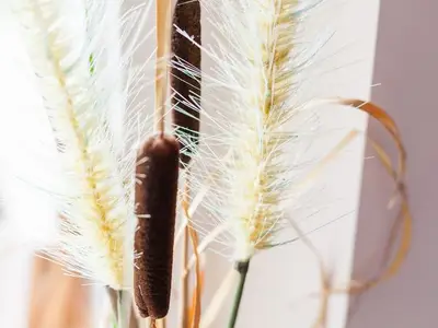 Ferienwohnung für 3 Personen (52 m²) in Wenningstedt 8/10