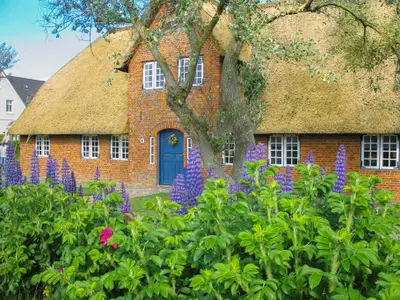 Ferienwohnung für 4 Personen (84 m²) in Wenningstedt 9/10