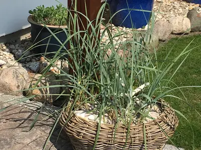 Ferienwohnung für 2 Personen (46 m²) in Wenningstedt 8/10