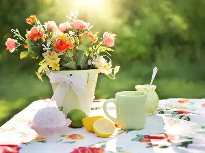 Garten