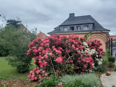 Ferienwohnung für 6 Personen (60 m²) in Werdau 2/10