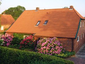 Ferienwohnung für 4 Personen (60 m&sup2;) in Werdum