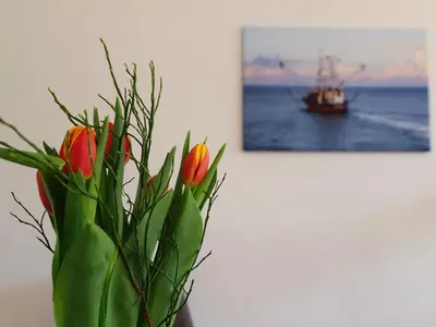 Ferienwohnung für 2 Personen (47 m²) in Werdum 8/10
