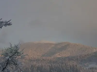 Ferienwohnung für 6 Personen (72 m²) in Wernberg 6/10