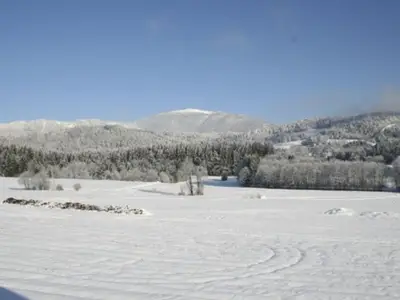 Ferienwohnung für 6 Personen (72 m²) in Wernberg 8/10